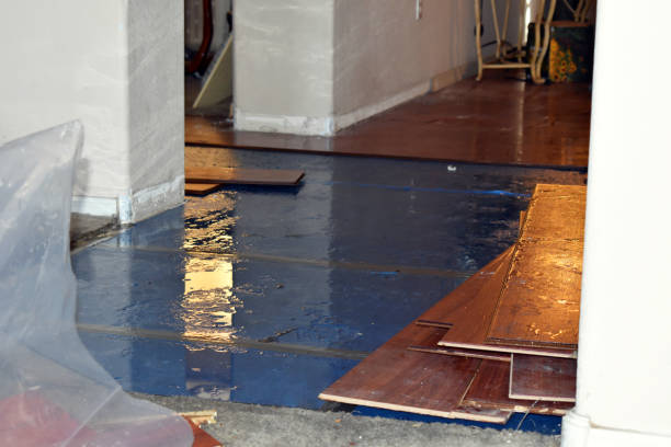 Professional Water Damage Restoration technician working in Pattison, TX
